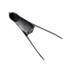 Mares Foot Pocket Razor