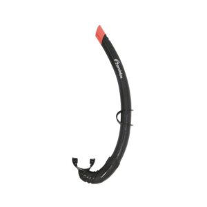 Problue SN-1089 Snorkel