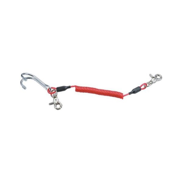 Problue AC-94-2 Stainless Steel Reef Hook w/ Coiled Lanyard