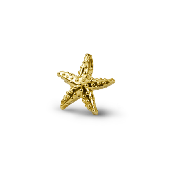 Ossidabile Sea Star Pendant