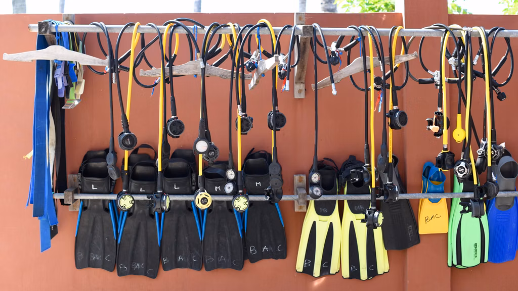 Diving Fins