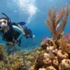 PADI scuba diving certification course training materials