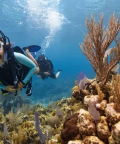PADI scuba diving certification course training materials