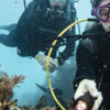 Sherwood diving accessory and equipment